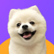 Taro SMS